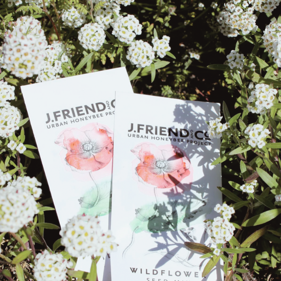 J Friend & Co | Wild Flower Seed Mix