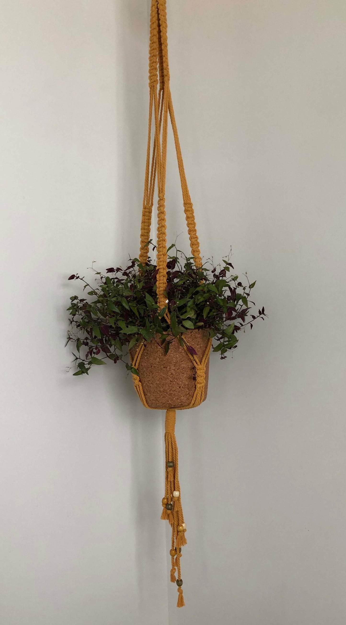 Frond | Macrame Plant Hanger - Bespoke Gift Boxes