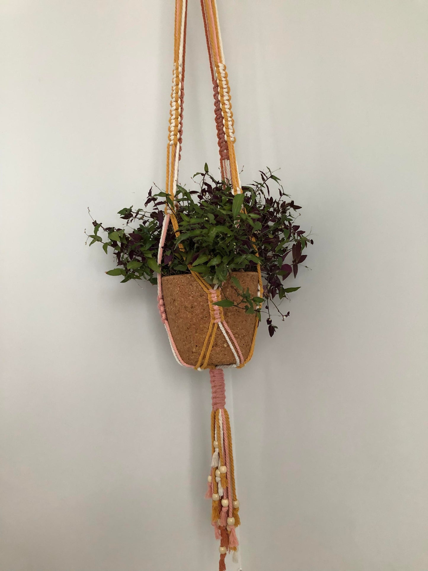 Frond | Macrame Plant Hanger - Bespoke Gift Boxes